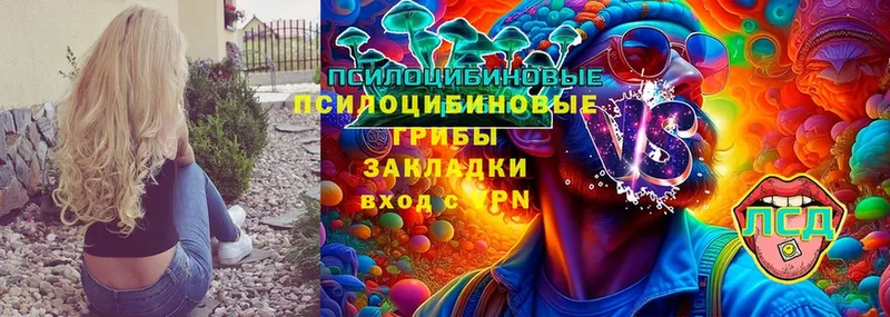 Галлюциногенные грибы Cubensis  OMG маркетплейс  Сосновка 